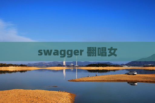 swagger 翻唱女